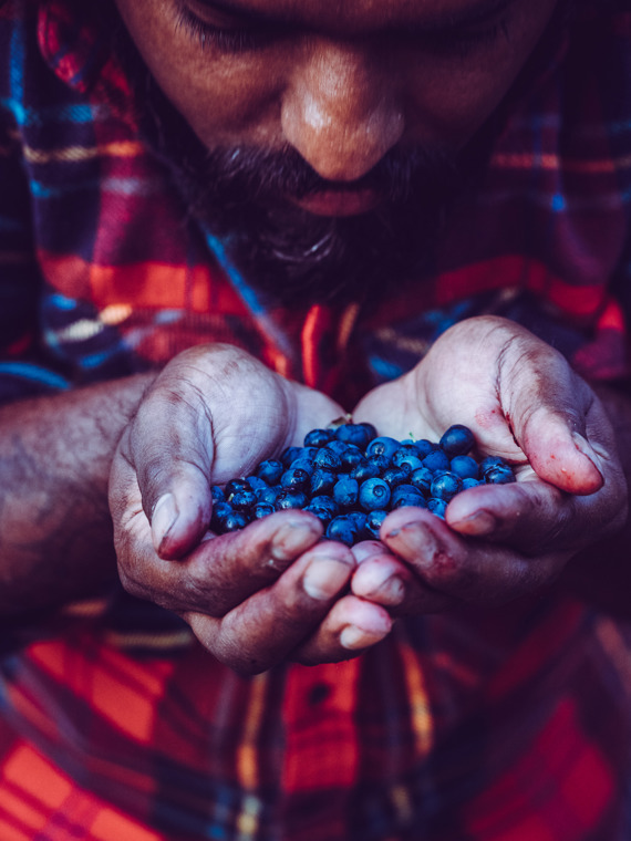 Erik cups his hands around lots of freshly picked blueberries.