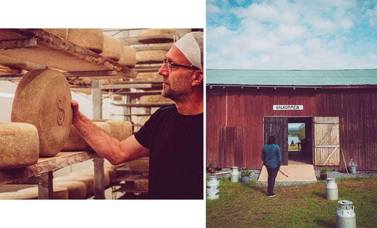 Pär Hellström kontrollerar ostarna som lagras uppradade på hyllorna i deras gårdsmejeri.
