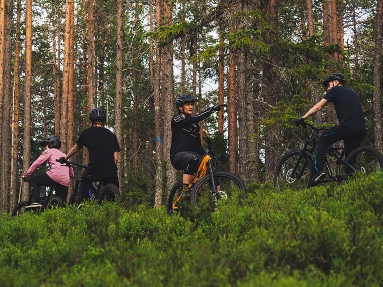 Fyra oidentifierbara personer på cykel i skogen.
