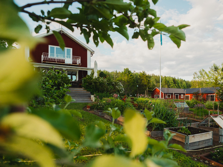 A lush garden with cultivation boxes, in the background you can see a house and a barn.