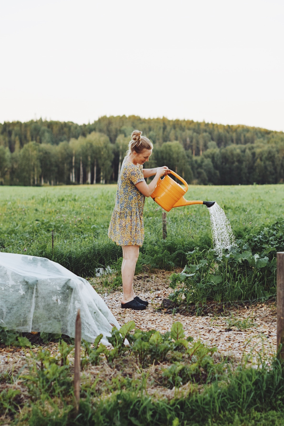Isabell is watering her crops wearing a summer dress.