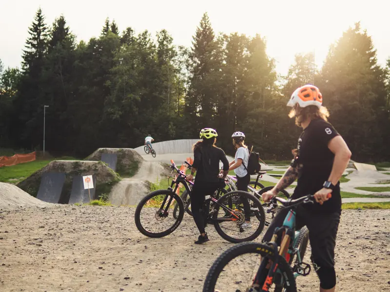 Skellefteå Bike Park Vitberget